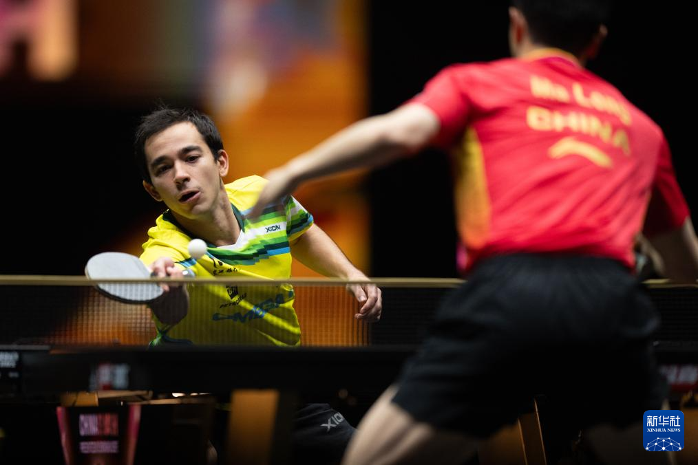 布朗尼一周 布朗尼一周